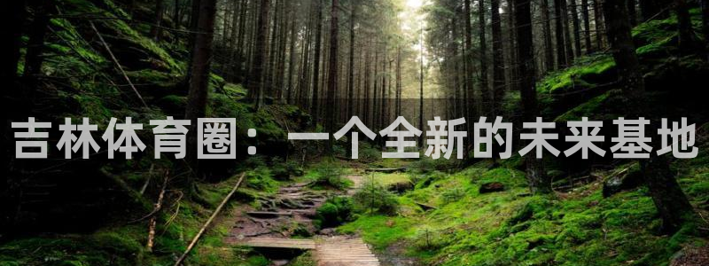 3377体育官方正版app新能源:吉林体育圈:一个全新的未来