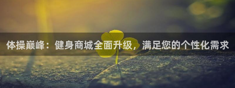 3377体育官网下载平台假的吗是真的吗吗:体操巅峰:健身商城